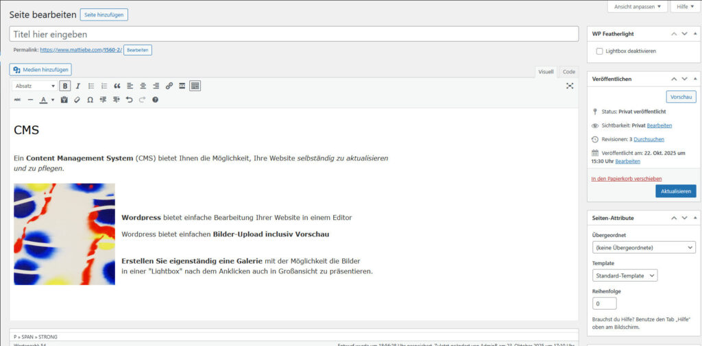 CMS WP-Editor Webdesign blackgif.com Stuttgart